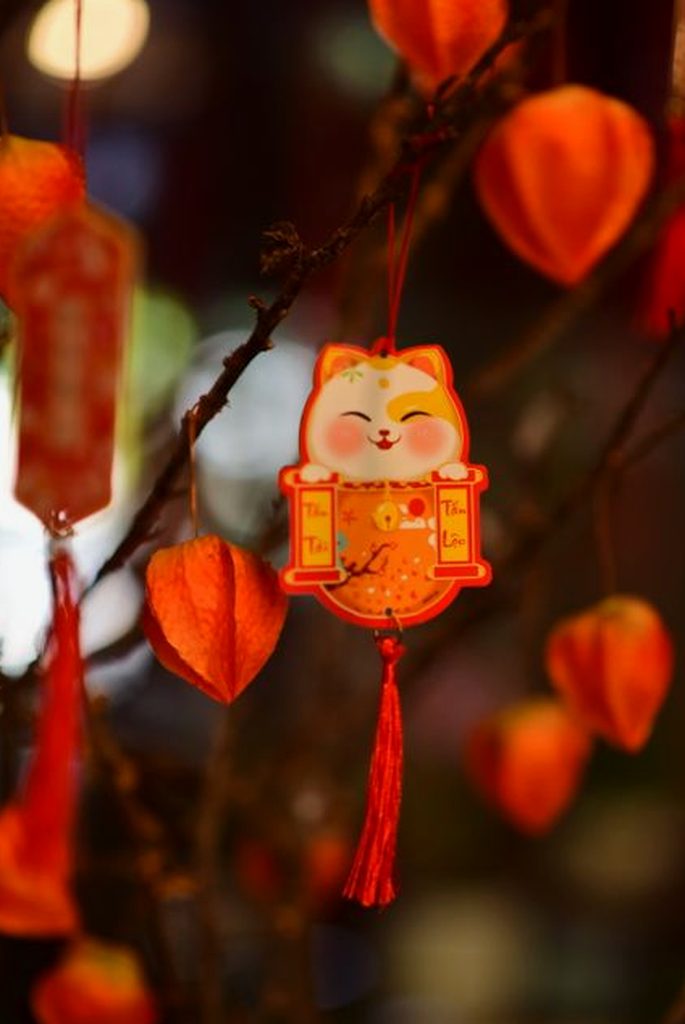 mới link Nohu